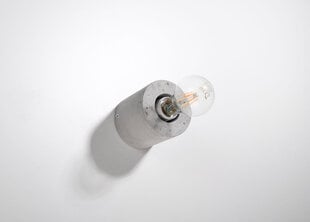 Настенный светильник Salgado concrete цена и информация | Настенные светильники | hansapost.ee