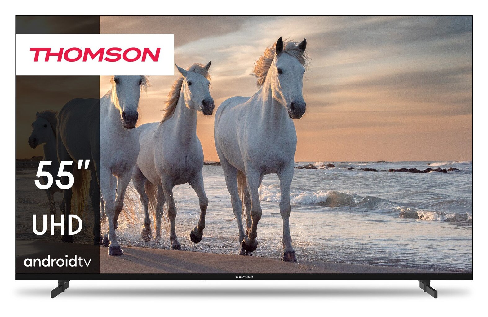 Thomson 55UA5S13 цена и информация | Televiisorid | hansapost.ee