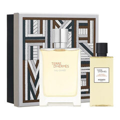 Komplekt naistele Terre d`Hermès Eau Givrée: parfüümvesi Edp, 100 ml + dušigeel, 80 ml hind ja info | Parfüümid naistele | hansapost.ee