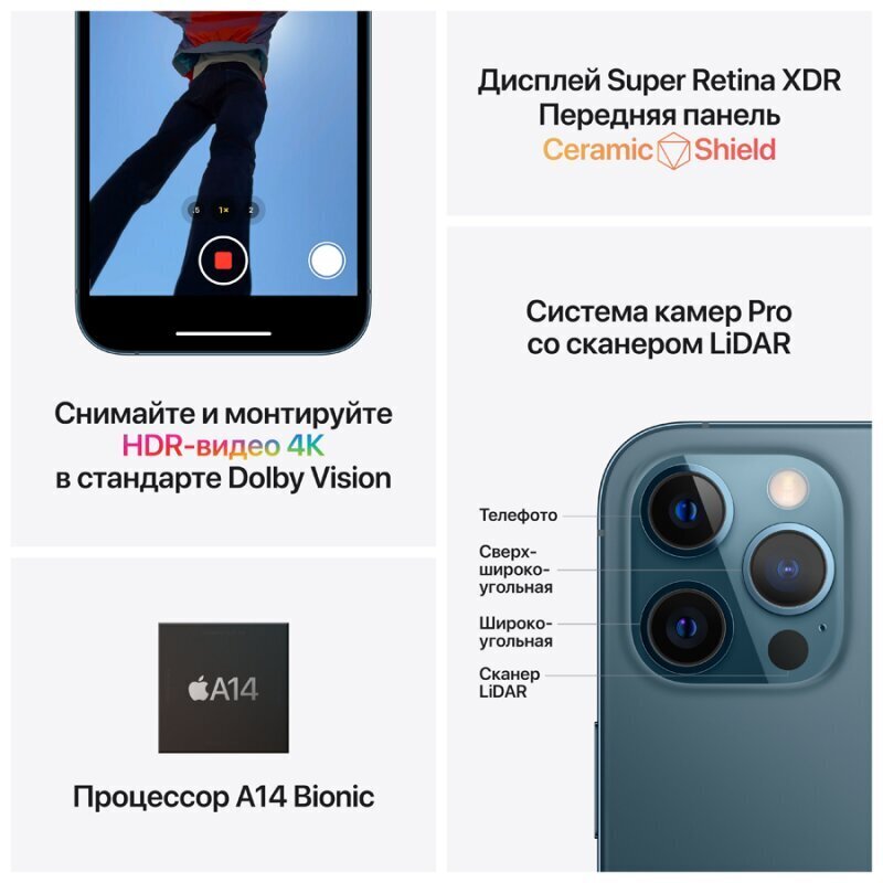 Renewd iPhone 12 Pro Max Graphite цена и информация | Telefonid | hansapost.ee