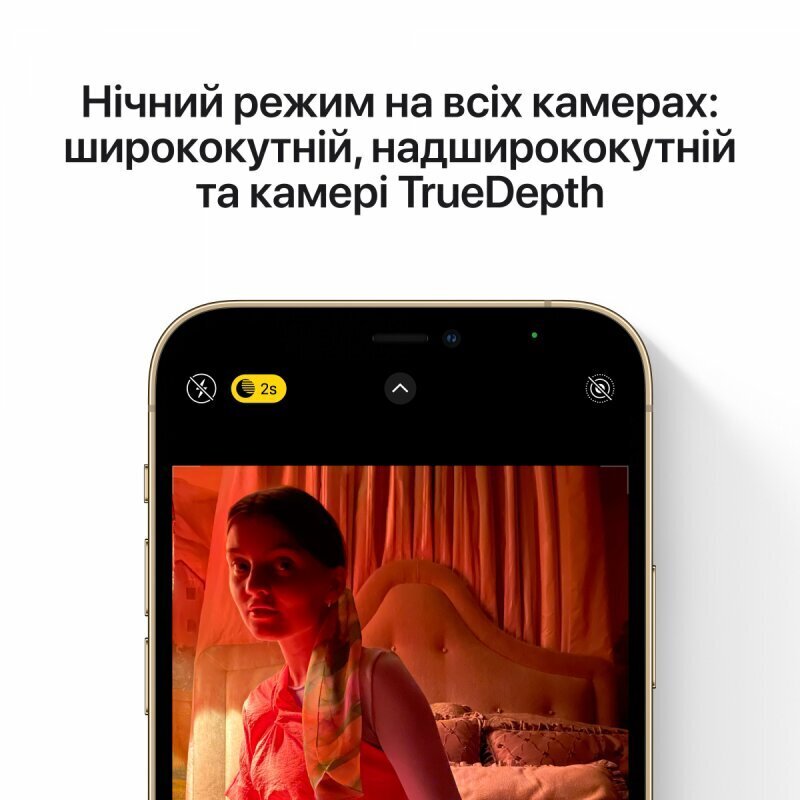 Renewd iPhone 12 Pro Max Graphite цена и информация | Telefonid | hansapost.ee