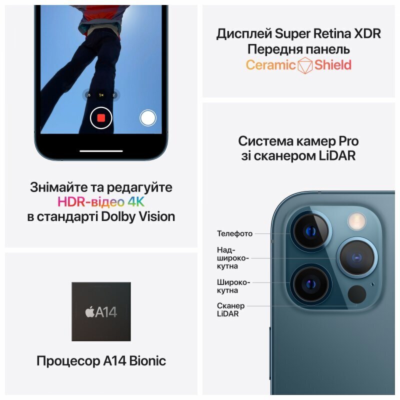 Renewd iPhone 12 Pro Max Graphite hind ja info | Telefonid | hansapost.ee