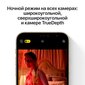 Renewd iPhone 12 Pro Max Graphite цена и информация | Telefonid | hansapost.ee