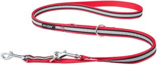 Reguleeritav jalutusrihm Amiplay 6 in 1 Shine, punane, XL 100-200x2,5 cm hind ja info | Jalutusrihmad koertele | hansapost.ee