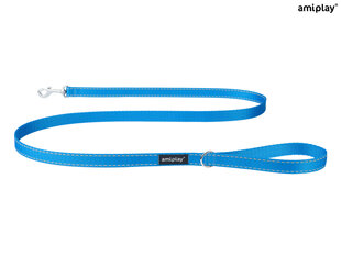 Поводок Amiplay Reflective, синий цвет, XL 150 x 2,5см цена и информация | Поводки для собак | hansapost.ee