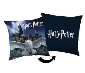 Dekoratiivne padi Harry Potter hind ja info | Padjakatted ja dekoratiivpadjad | hansapost.ee