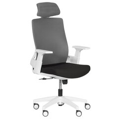 Комплект из 2 офисных кресел Wood Garden Carmen 7546, черный/серый цвет цена и информация | Офисные кресла | hansapost.ee