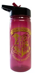 Бутылка для воды Гарри Поттер 600мл цена и информация | Атрибутика для игроков | hansapost.ee