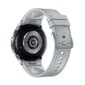 Samsung Galaxy Watch6 Classic 43mm LTE Silver SM-R955FZSAEUB hind ja info | Nutikellad, laste nutikellad | hansapost.ee