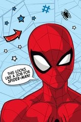 Pleedtekk Disney Spiderman Star, 100x150 cm hind ja info | Pleedid, voodikatted ja päevatekid | hansapost.ee