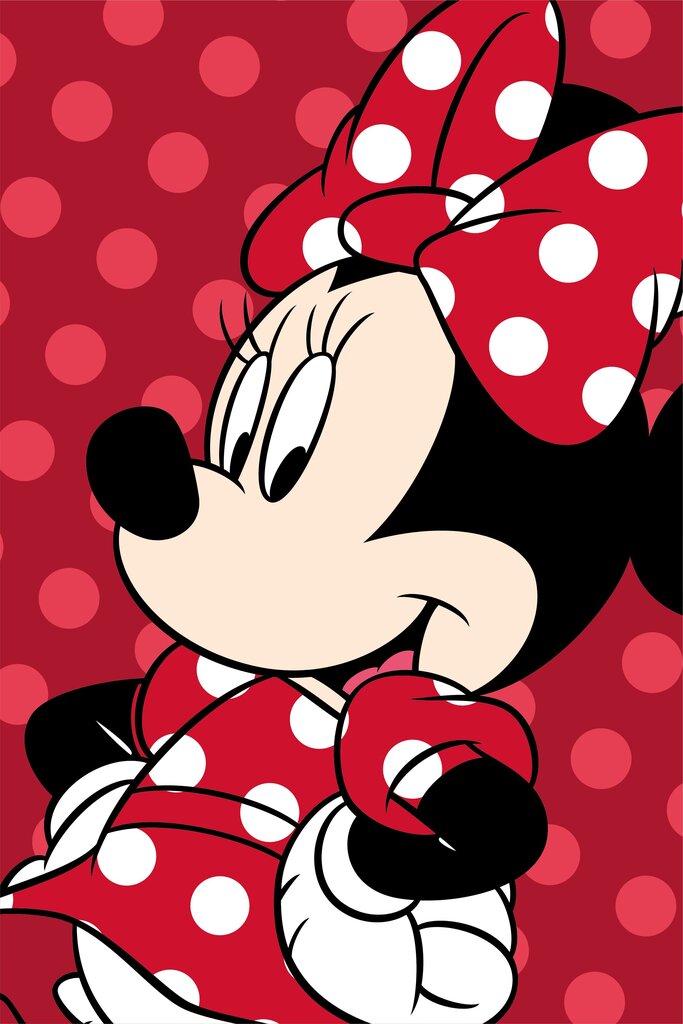 Pleedtekk Disney Minnie Red, 100x150 cm цена и информация | Pleedid, voodikatted ja päevatekid | hansapost.ee