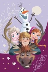 Pleedtekk Disney Frozen Family, 100x150 cm hind ja info | Pleedid, voodikatted ja päevatekid | hansapost.ee