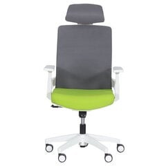 Комплект из 2 офисных кресел Wood Garden Carmen 7546, зеленый/серый цвет цена и информация | Офисные кресла | hansapost.ee