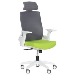 Комплект из 2 офисных кресел Wood Garden Carmen 7546, зеленый/серый цвет цена и информация | Офисные кресла | hansapost.ee