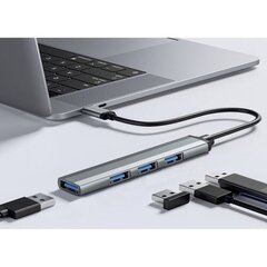 Izoxis USB HUB - 4 ports 3.0 + 2.0 цена и информация | Адаптеры и USB-hub | hansapost.ee