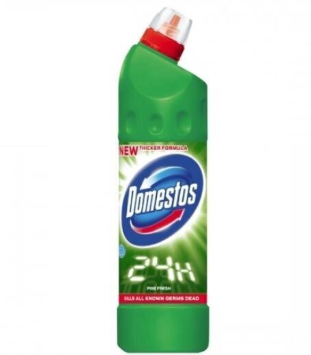 Tualettruumi katlakivieemaldaja Domestos Liquid Pine, 1 l hind ja info | Puhastusvahendid | hansapost.ee