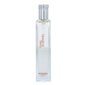 Parfüümvesi Hermes Terre D'Hermes Eau Givree EDP meestele 125 ml hind ja info | Parfüümid naistele | hansapost.ee