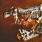 Loominguline teaduskogu Lisciani Draakonid ja dinosaurused цена и информация | Arendavad laste mänguasjad | hansapost.ee
