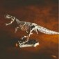 Loominguline teaduskogu Lisciani Draakonid ja dinosaurused hind ja info | Arendavad laste mänguasjad | hansapost.ee