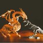 Loominguline teaduskogu Lisciani Draakonid ja dinosaurused hind ja info | Arendavad laste mänguasjad | hansapost.ee