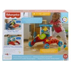 Малый драйвер-толкатель 2в1 цена и информация | Игрушки для малышей | hansapost.ee
