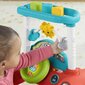 Tegevuskeskus – jalutaja Fisher-Price Little Driver цена и информация | Beebide mänguasjad | hansapost.ee