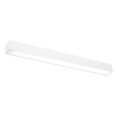 Wall lamp PINNE 67 white THORO TH.038 цена и информация | Настенные светильники | hansapost.ee