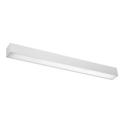 Wall lamp PINNE 67 grey THORO TH.037 цена и информация | Настенные светильники | hansapost.ee