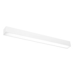 Wall lamp PINNE 67 white THORO TH.035 цена и информация | Настенные светильники | hansapost.ee