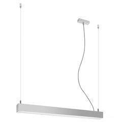 Pendant lamp PINNE 67 grey THORO TH.034 цена и информация | Потолочный светильник Home ESPRIT Белый Коричневый Деревянный Металл 25 W 40 x 40 x 70 cm | hansapost.ee