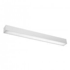 Plafond PINNE 150 white THORO TH.095 цена и информация | Настенный светильник Конусы | hansapost.ee