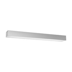 Plafond PINNE 150 grey THORO TH.100 цена и информация | Потолочные светильники | hansapost.ee