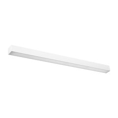 Wall lamp PINNE 90 white THORO TH.056 цена и информация | Настенные светильники | hansapost.ee