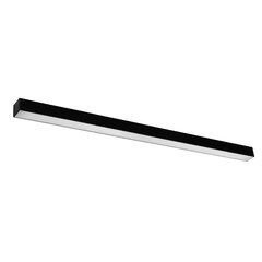 Wall lamp PINNE 117 black THORO TH.075 цена и информация | Настенные светильники | hansapost.ee