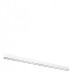 Wall lamp PINNE 117 grey THORO TH.073 цена и информация | Настенные светильники | hansapost.ee