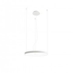 Chandelier RIO 55 white 4000K THORO TH.107 цена и информация | Потолочный светильник Home ESPRIT Белый Коричневый Деревянный Металл 25 W 40 x 40 x 70 cm | hansapost.ee