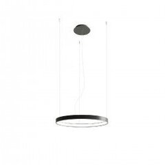 Chandelier RIO 55 black 4000K THORO TH.108 цена и информация | Потолочный светильник Home ESPRIT Белый Коричневый Деревянный Металл 25 W 40 x 40 x 70 cm | hansapost.ee