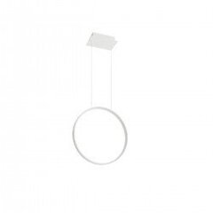 Pendant lamp RIO 55 white 4000K THORO TH.115 цена и информация | Потолочный светильник Home ESPRIT Белый Коричневый Деревянный Металл 25 W 40 x 40 x 70 cm | hansapost.ee