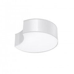 Plafond CIRCLE 1 white SPANISH ORANGE SL.1050 цена и информация | Потолочные светильники | hansapost.ee