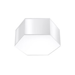 Plafond SUNDE 13 white SPANISH ORANGE SL.1057 цена и информация | Потолочные светильники | hansapost.ee