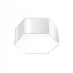 Plafond SUNDE 13 white SPANISH ORANGE SL.1057 цена и информация | Потолочные светильники | hansapost.ee