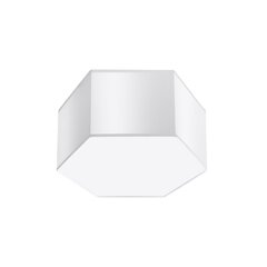 Plafond SUNDE 15 white SPANISH ORANGE SL.1058 цена и информация | Потолочные светильники | hansapost.ee