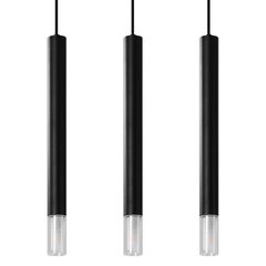 Pendant lamp WEZYR 3 black OCEAN GREEN SL.0962 цена и информация | Люстры | hansapost.ee