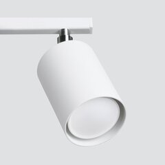 Потолочный светильник Lemmi цена и информация | Потолочные светильники | hansapost.ee
