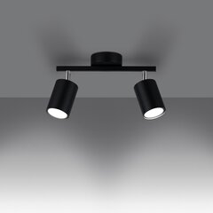Потолочный светильник Lemmi цена и информация | Потолочные светильники | hansapost.ee