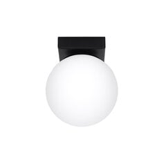 Потолочный светильник Sollux Yoli цена и информация | Потолочные светильники | hansapost.ee