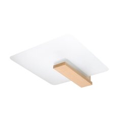 Sollux laelamp Lappo hind ja info | Laelambid | hansapost.ee