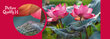 Pusle CherryPazzi Pink Lotus flowers 500-osaline цена и информация | Pusled lastele ja täiskasvanutele | hansapost.ee