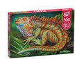 Pusle CherryPazzi Incredible Iguana 500-osaline hind ja info | Pusled lastele ja täiskasvanutele | hansapost.ee