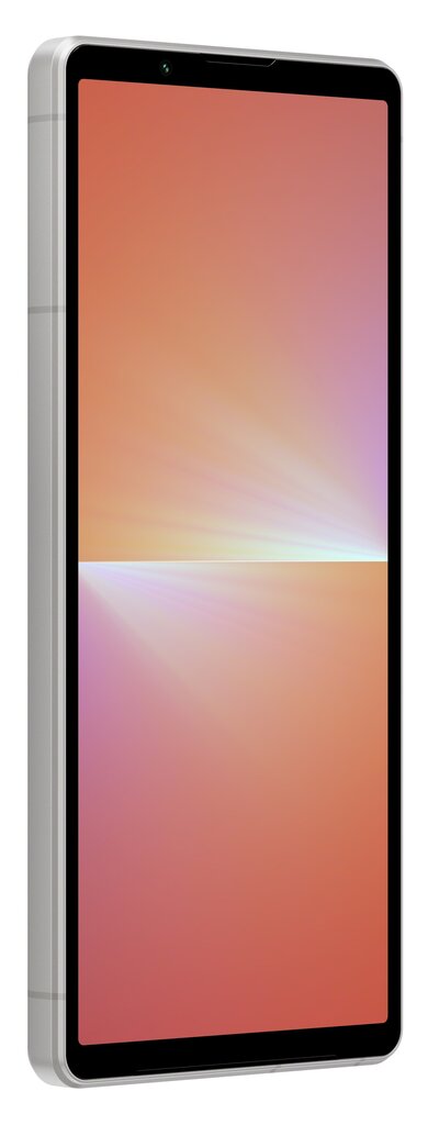Sony Xperia 5 V 5G 8/128GB XQDE54C0S.EUK Platinum Silver цена и информация | Telefonid | hansapost.ee